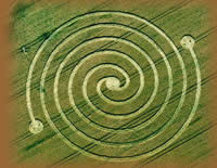 crop circle 1