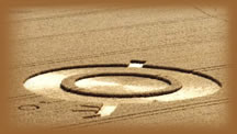 crop circle 3