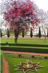 Baha'i terrace, Mt Carmel, Israel